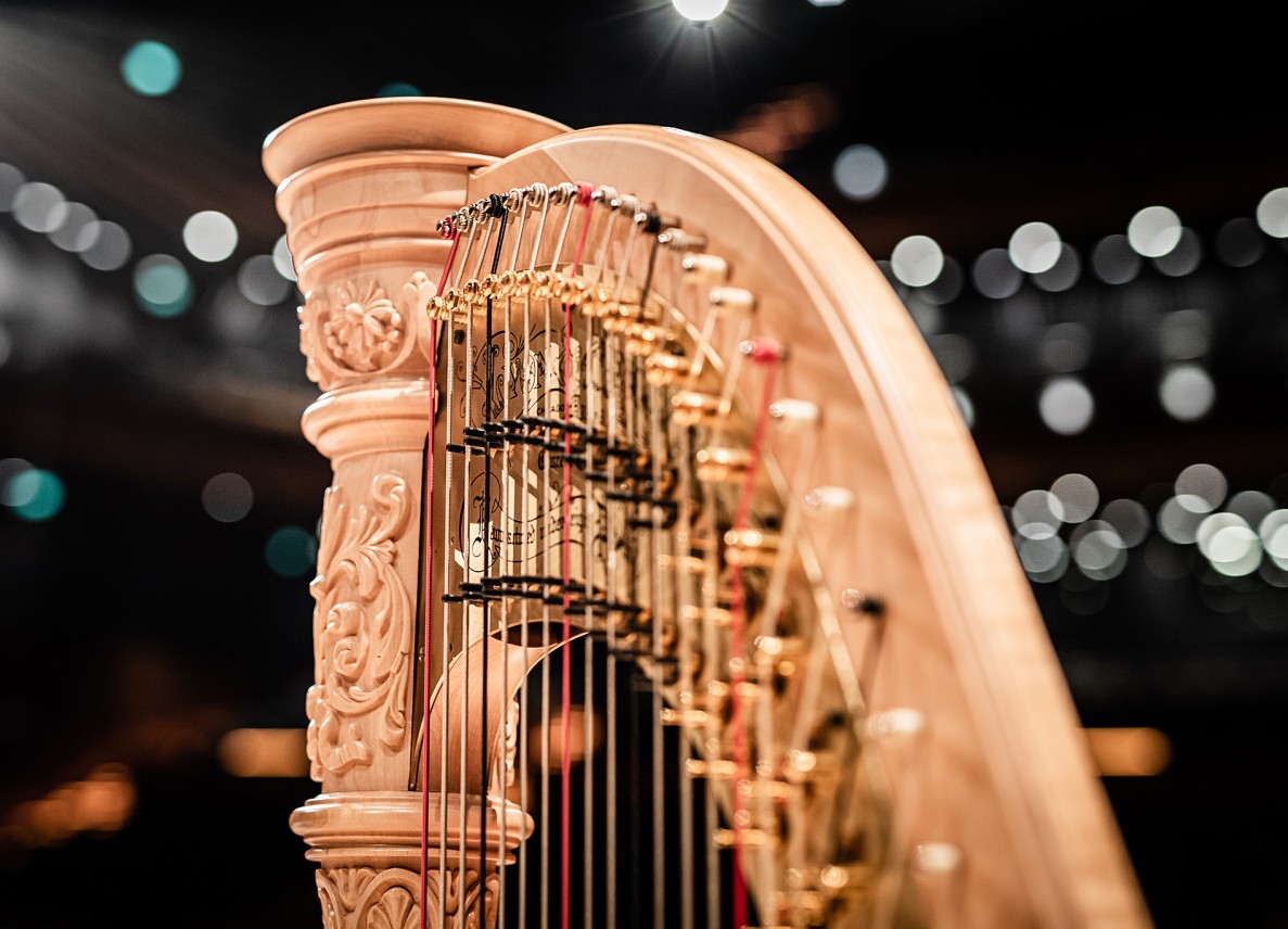 Close-up of the harp.