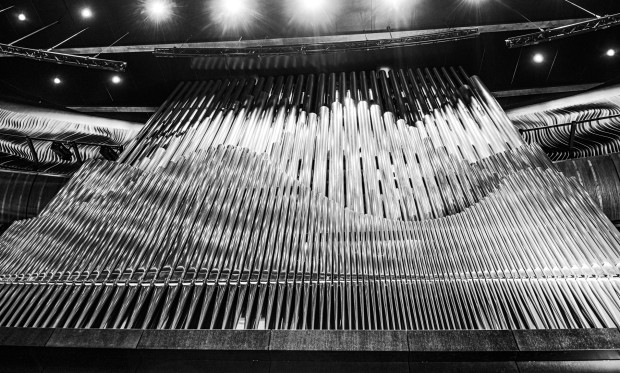 Organs of NOSPR